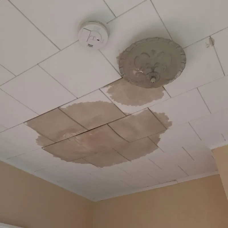 Ceiling Water Damage Repair in Henderson, TN