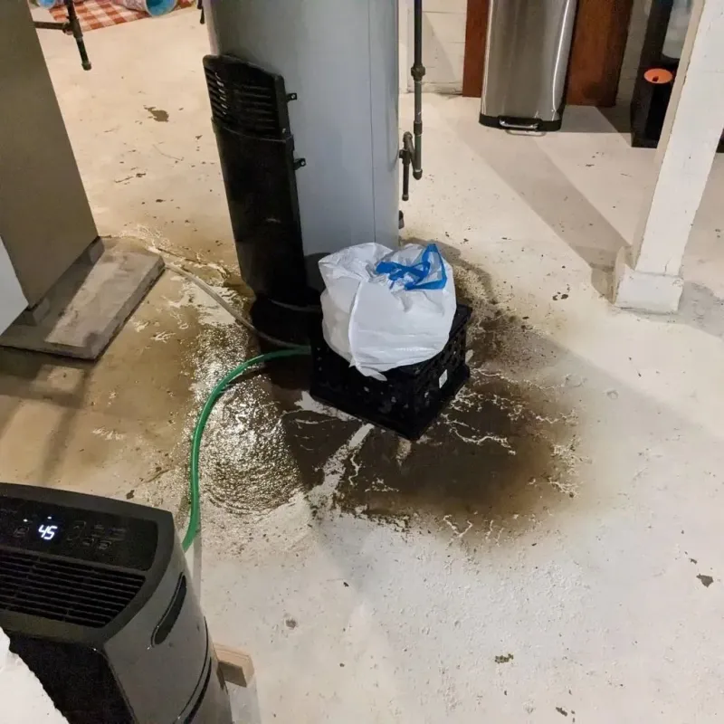 Sewage Backup Cleanup Service in Henderson, TN